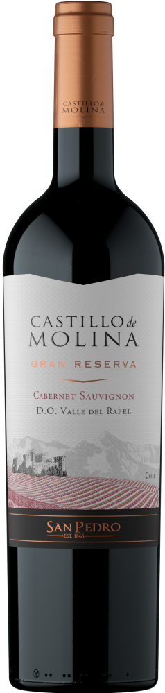 Castillo de Molina Gran Reserva Cabernet Sauvignon 2020