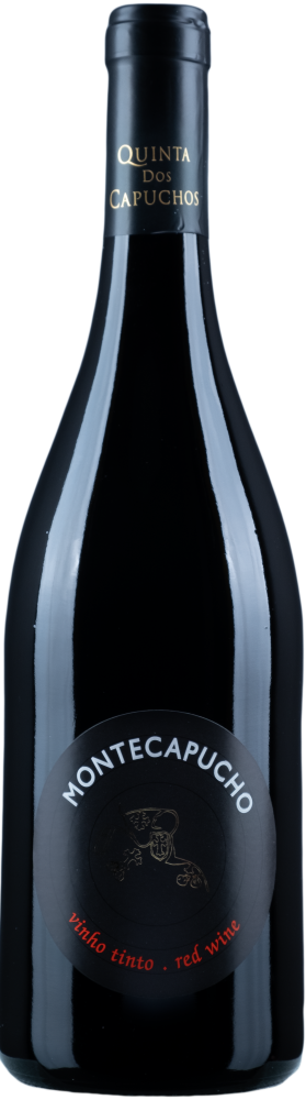 Montecapucho 2017
