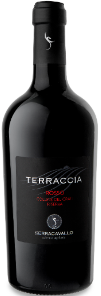 Terraccia 2019