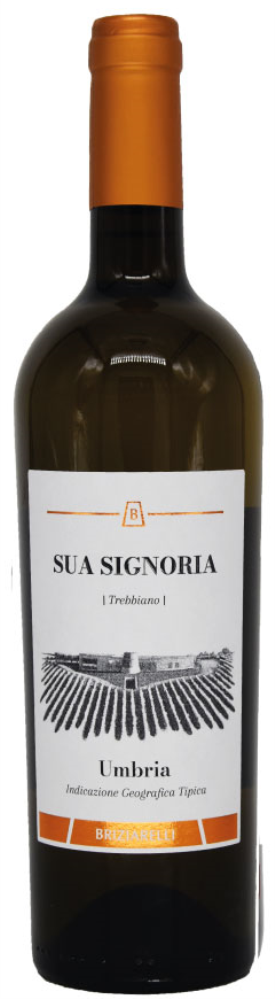 Sua Signoria Bianco 2021