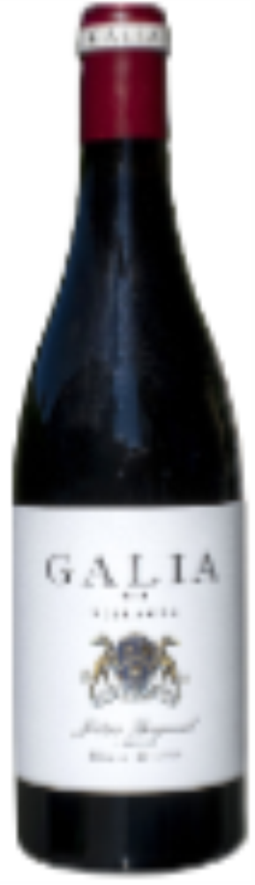 Galia Villages 2019