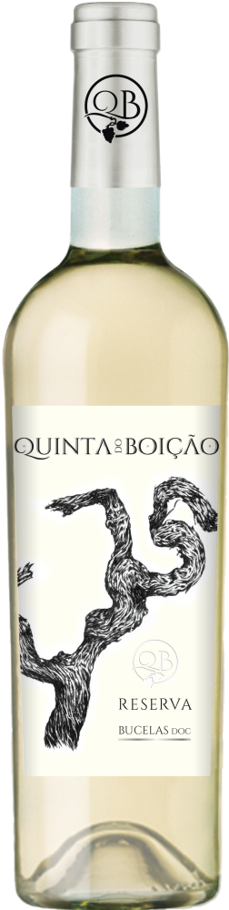 Quinta do Boição Reserva Branco 2021