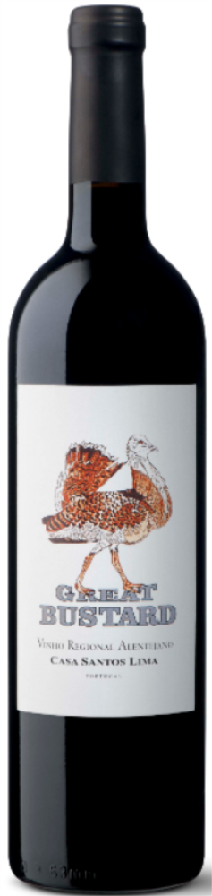 Great Bustard 2021