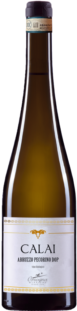 Calai 2017