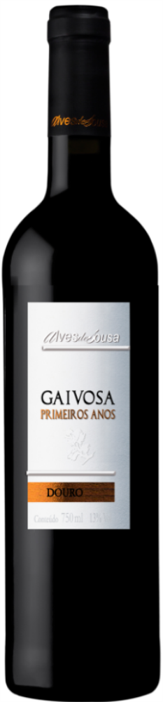 Gaivosa Primeiros Anos 2019
