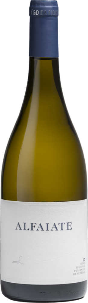 Alfaiate Branco 2021