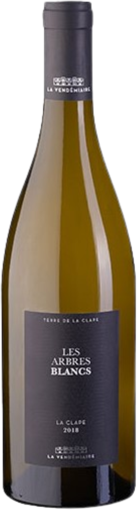 Les Arbres Blancs 2021