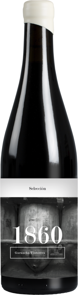 1860 Selección 2019