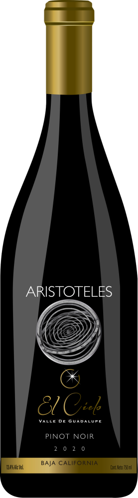 Aristóteles Tinto 2020