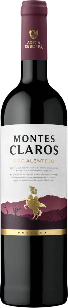 Montes Claros 2020