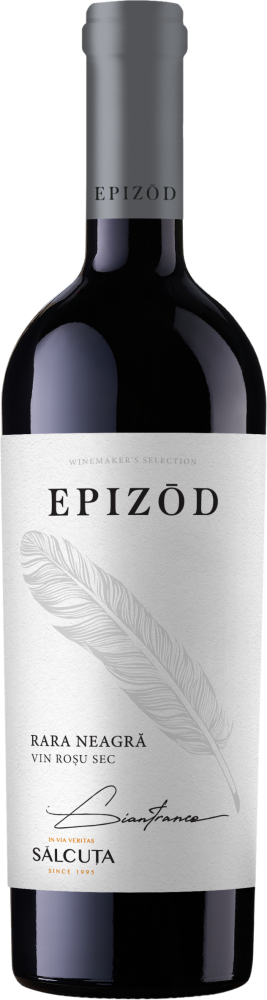 Epizod by Salcuta Rara Neagra 2020