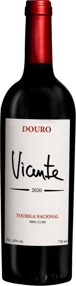 Vicente 2020