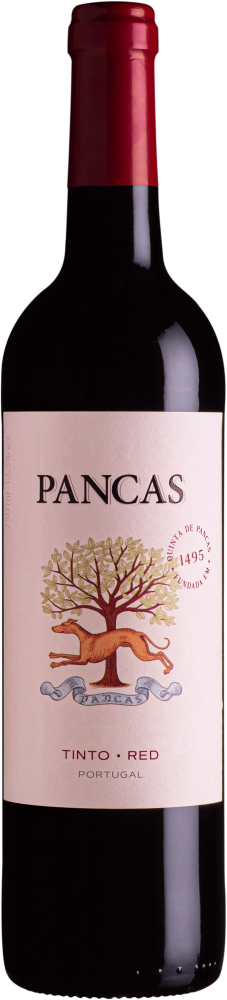 Pancas Tinto 2021