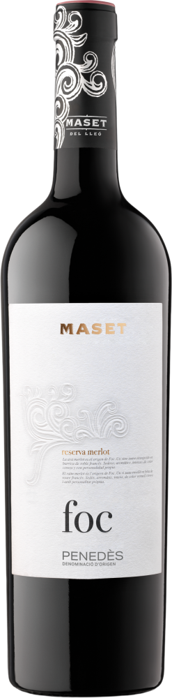 Maset Foc 2019