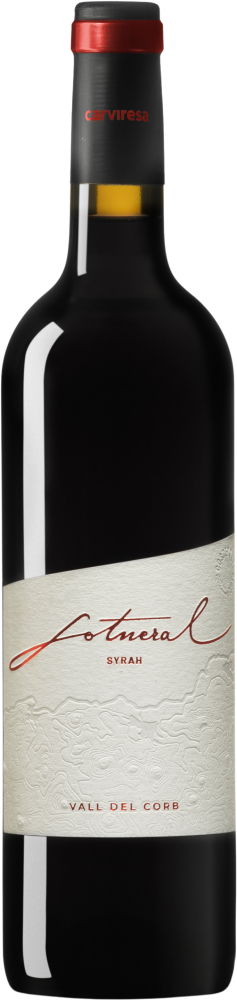 Sot Neral Syrah 2021