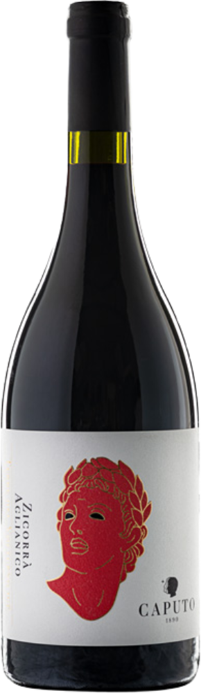 Zicorrà 2019