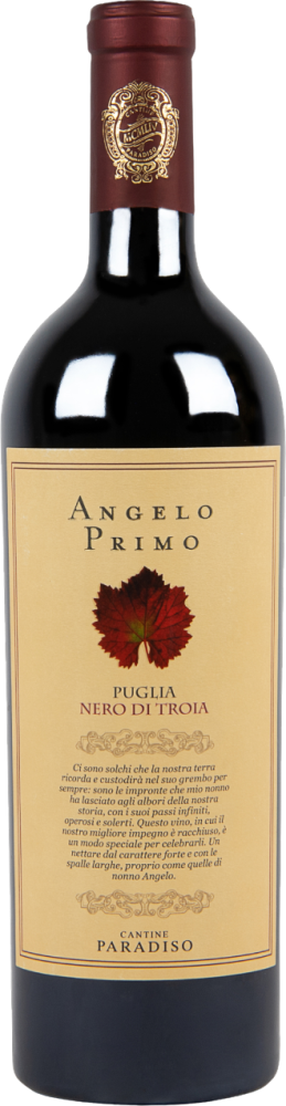 Angelo Primo 2022
