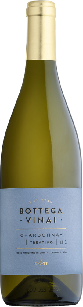 Bottega Vinai Chardonnay 2023
