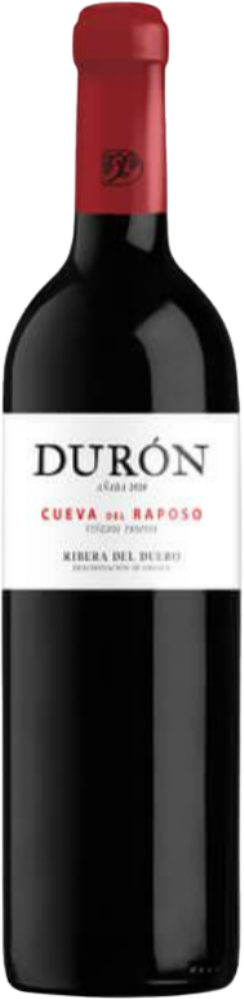 Cueva del Raposo 2020