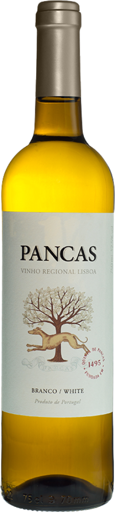 Pancas Branco 2022