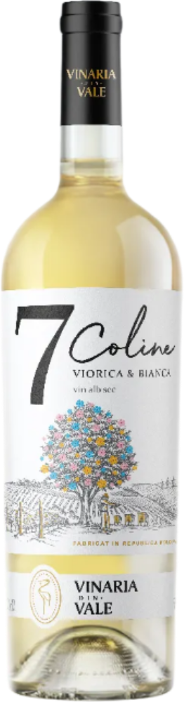 7 Coline Viorica & Bianca 2023
