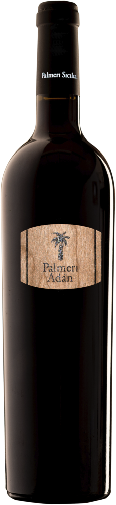 Palmeri Adán 2018