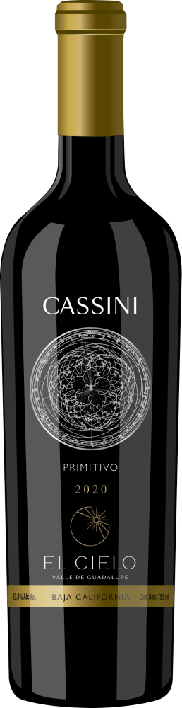 Cassini Tinto 2020