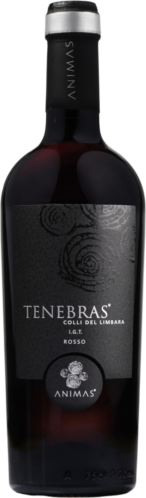Tenebras 2021