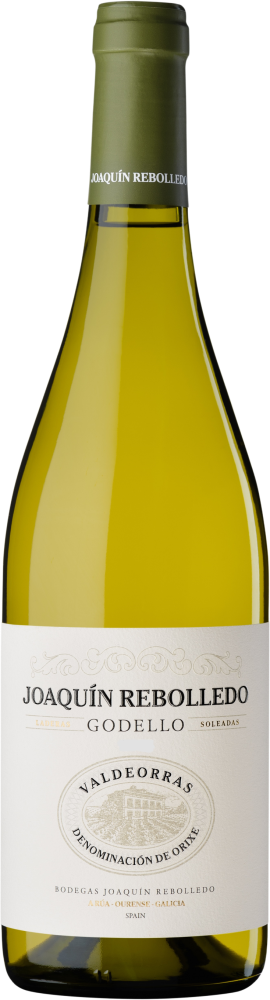 Joaquín Rebolledo Godello 2023