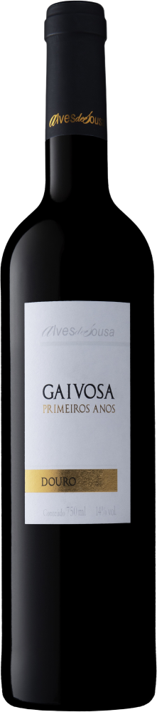 Gaivosa Primeiros Anos 2021
