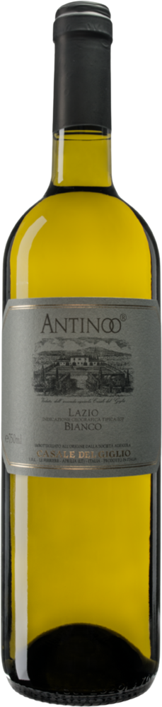Antinoo 2022