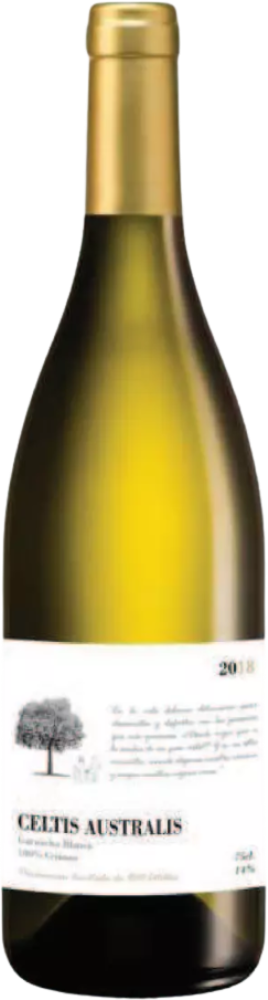 Celtis Australis Blanco 2021