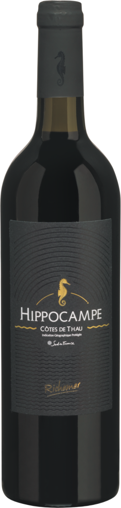 Hippocampe Rouge 2022