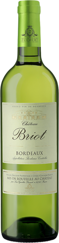 Château Briot 2023
