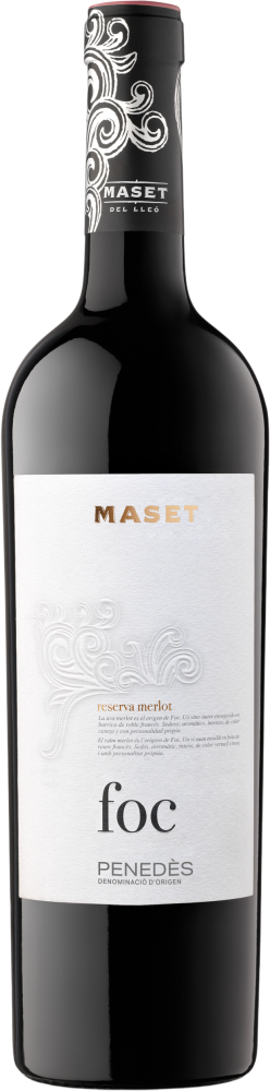 Maset Foc 2020