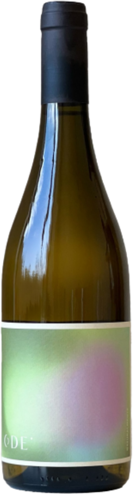 ODE Alvarinho 2023