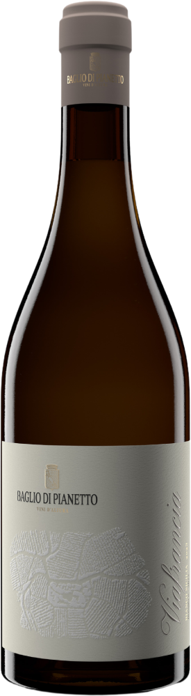 Viafrancia Bianco 2022