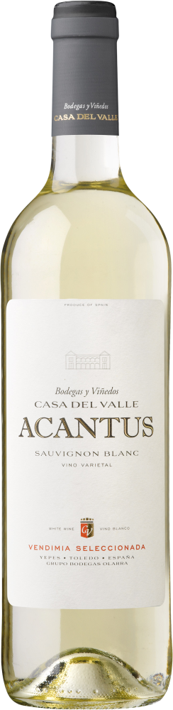 Acantus Sauvignon Blanc 2023