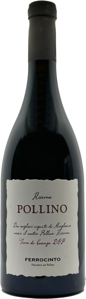 Pollino Riserva Magliocco 2016