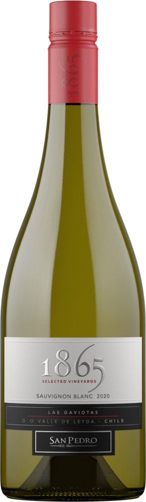 1865 Sauvignon Blanc 2023