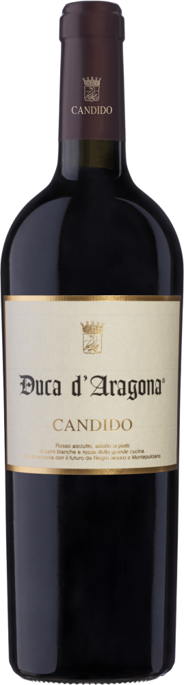 Duca d'Aragona 2019