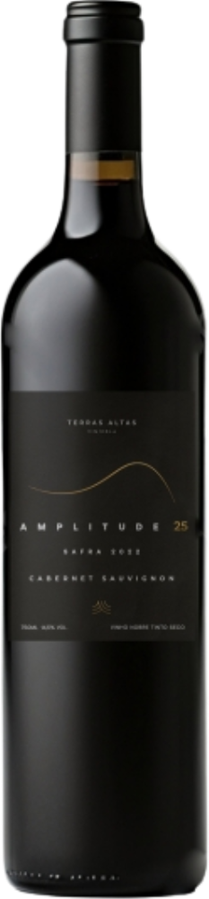 Amplitude 25 2022