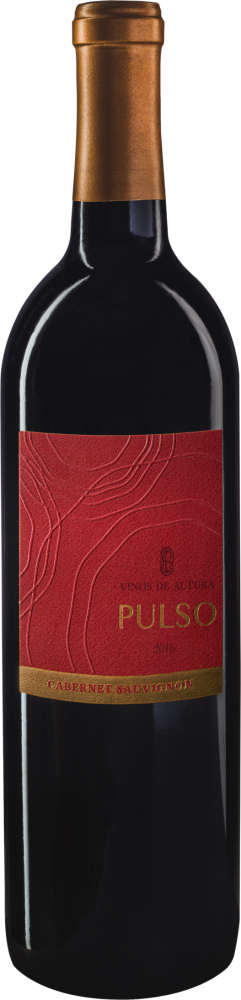 Pulso 2021