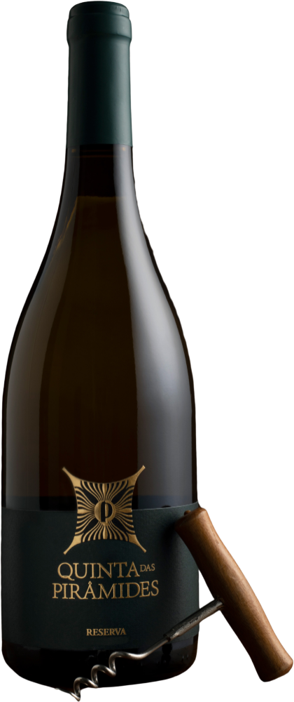 Quinta das Pirâmides - Barricas 2022