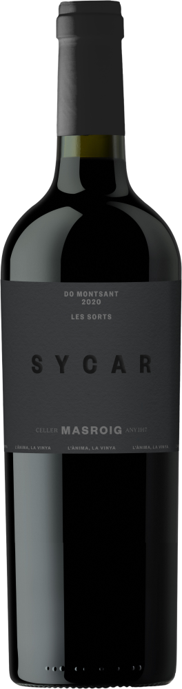 Sycar 2022