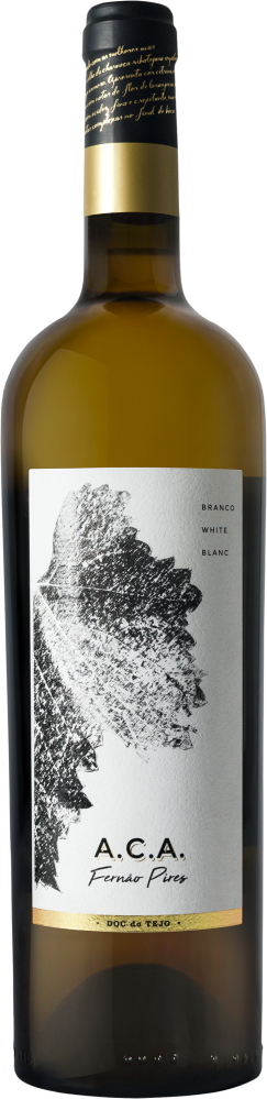 Aca Branco 2023