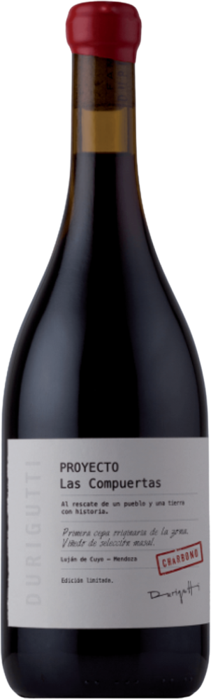 Proyecto Las Compuertas Charbono 2018