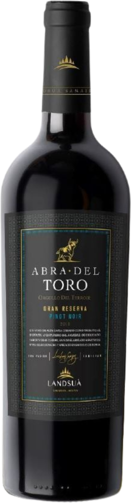 Abra del Toro Pinot Noir 2019