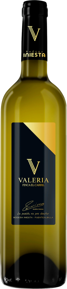 Finca el Carril Valeria 2022