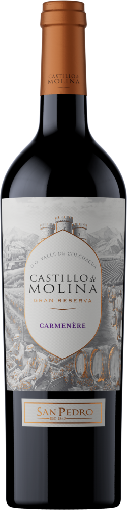 Castillo de Molina Carménère 2022